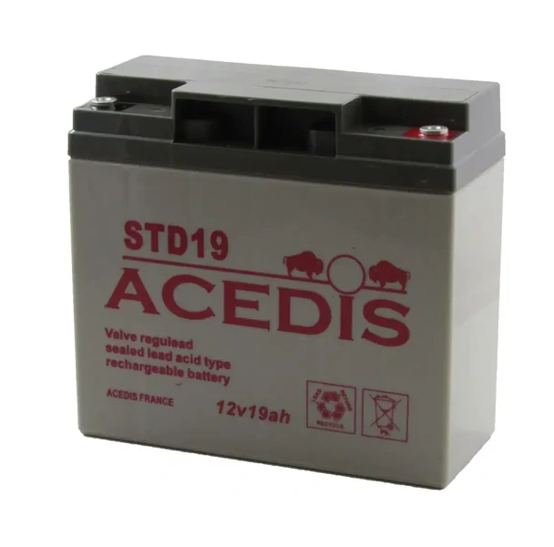 STD19